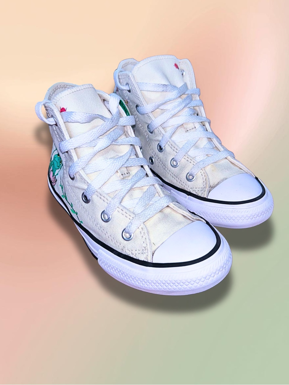 Converse Chuck Taylor All Star “Frog Garden” Hi-top Youth Shoes Size 13.5